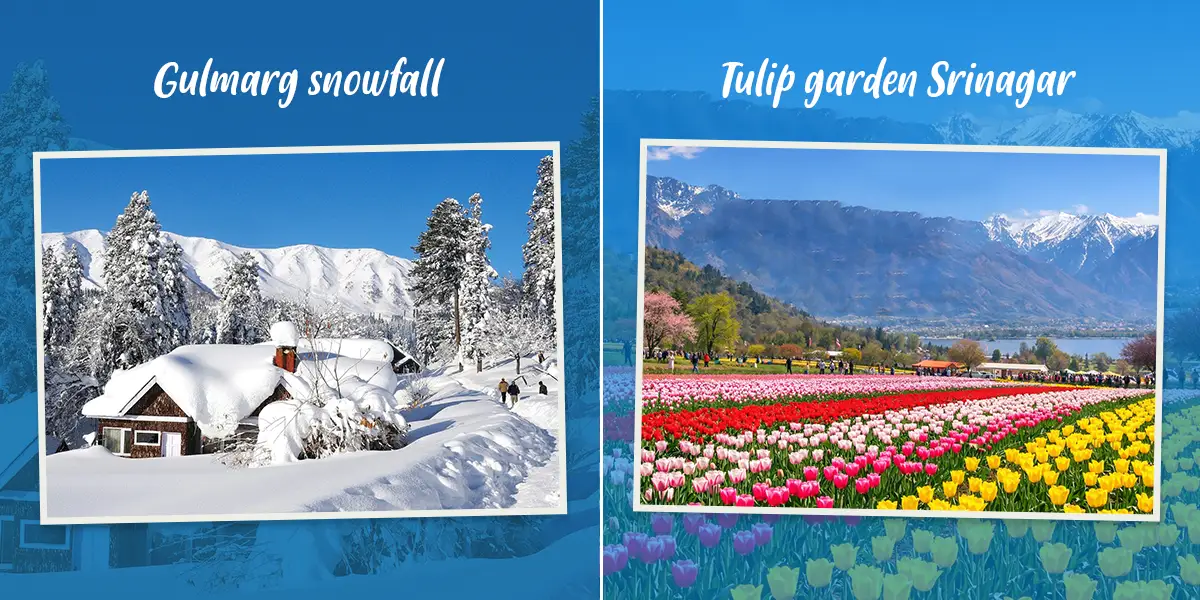 Kashmir tour packages from Mumbai with flights and scenic mountain views